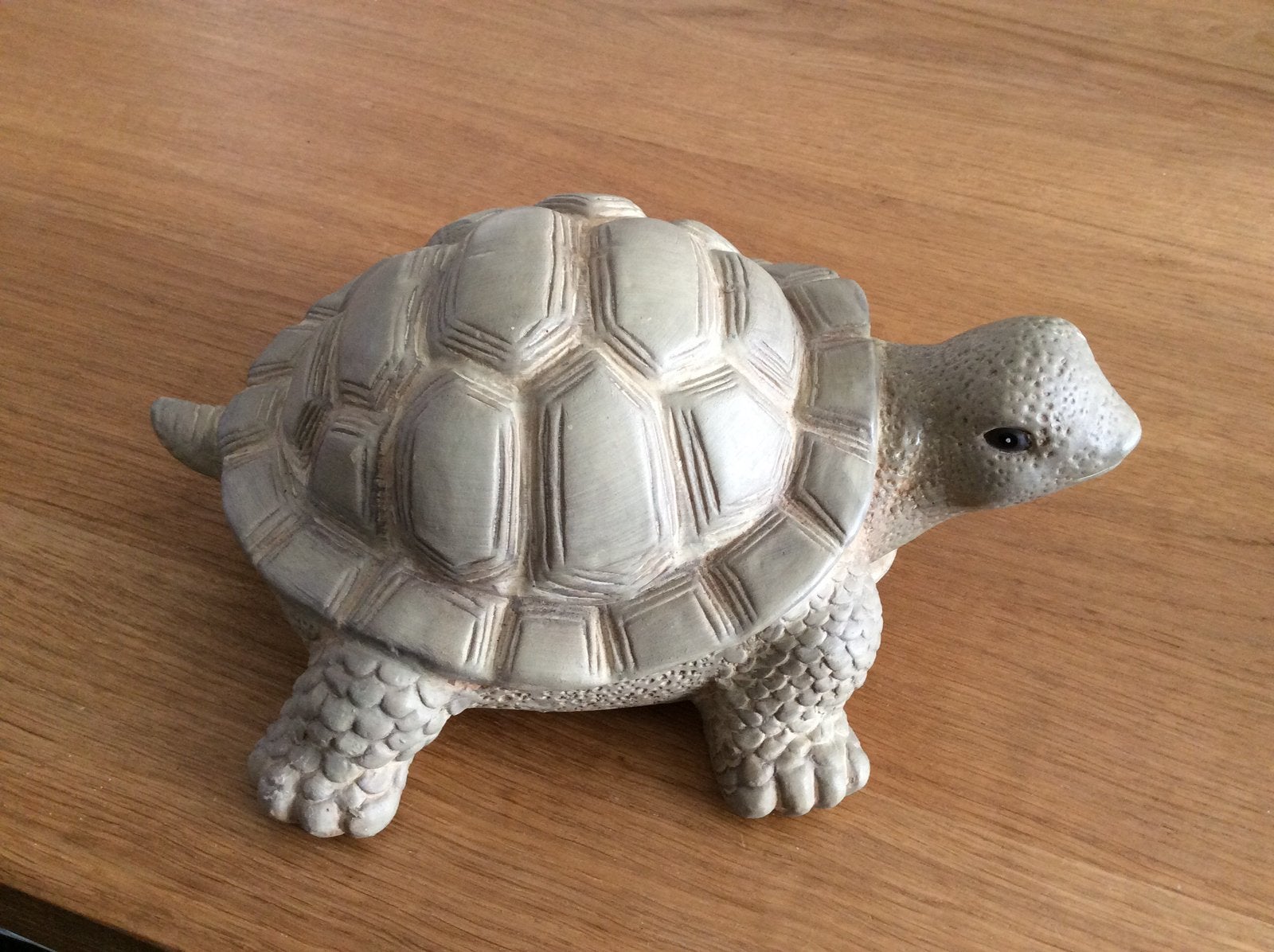 Grote nieuwe stenen schildpad e.12,50,-, Ophalen, Nieuw, Beeldje of Figuurtje