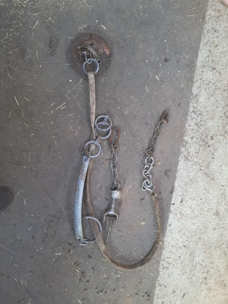 Hangketting, Dieren en Toebehoren, Overige Dieren-accessoires, Ophalen, Gebruikt