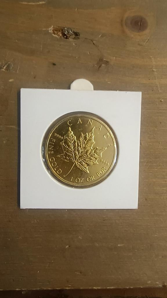 Canadese Gouden Maple Leaf Munt 1 oz 1990, Ophalen of Verzenden, Goud