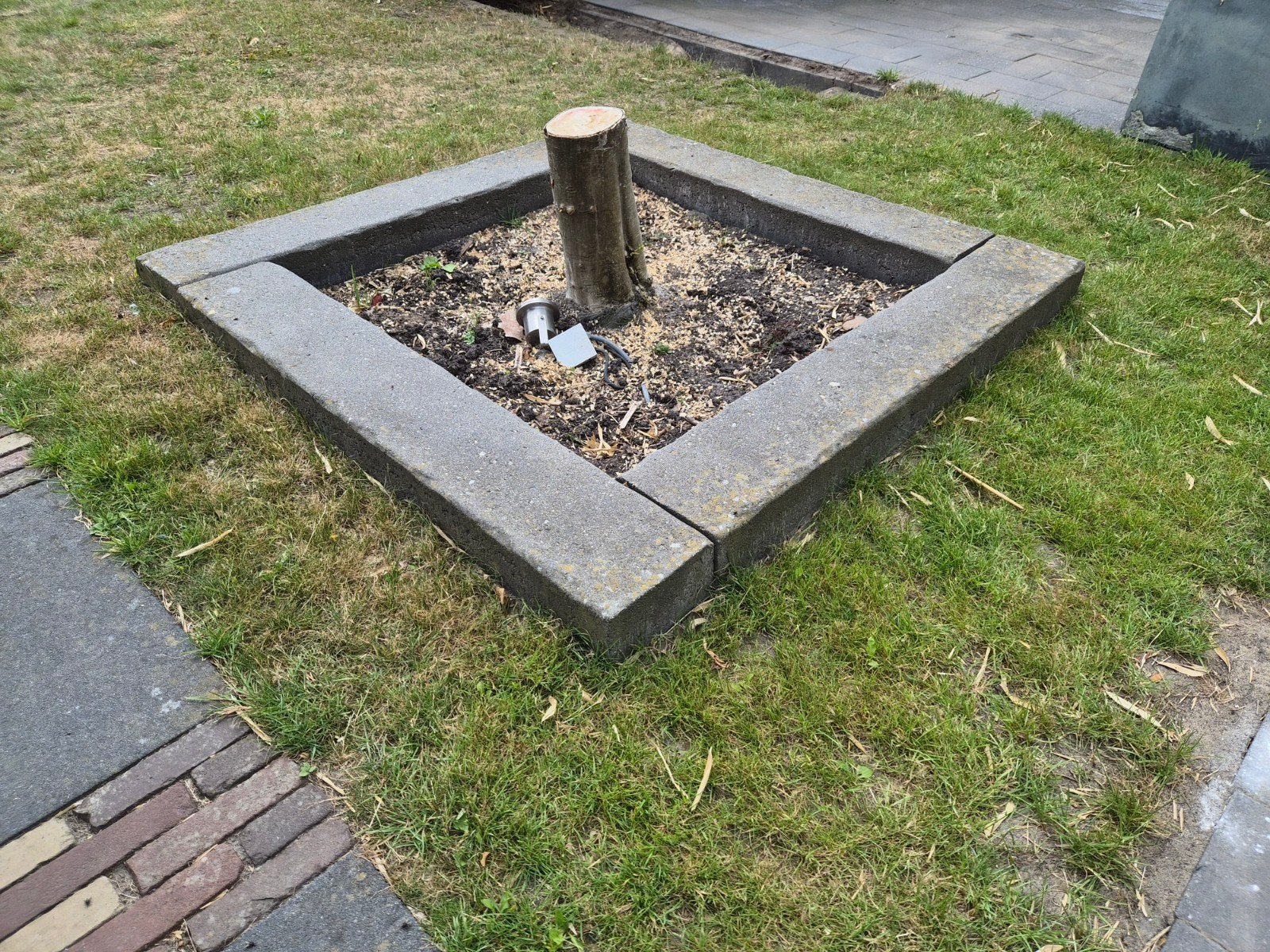 Bielzen 4 stuks gratis ophalen, Tuin en Terras, Bielzen en Borders, Ophalen