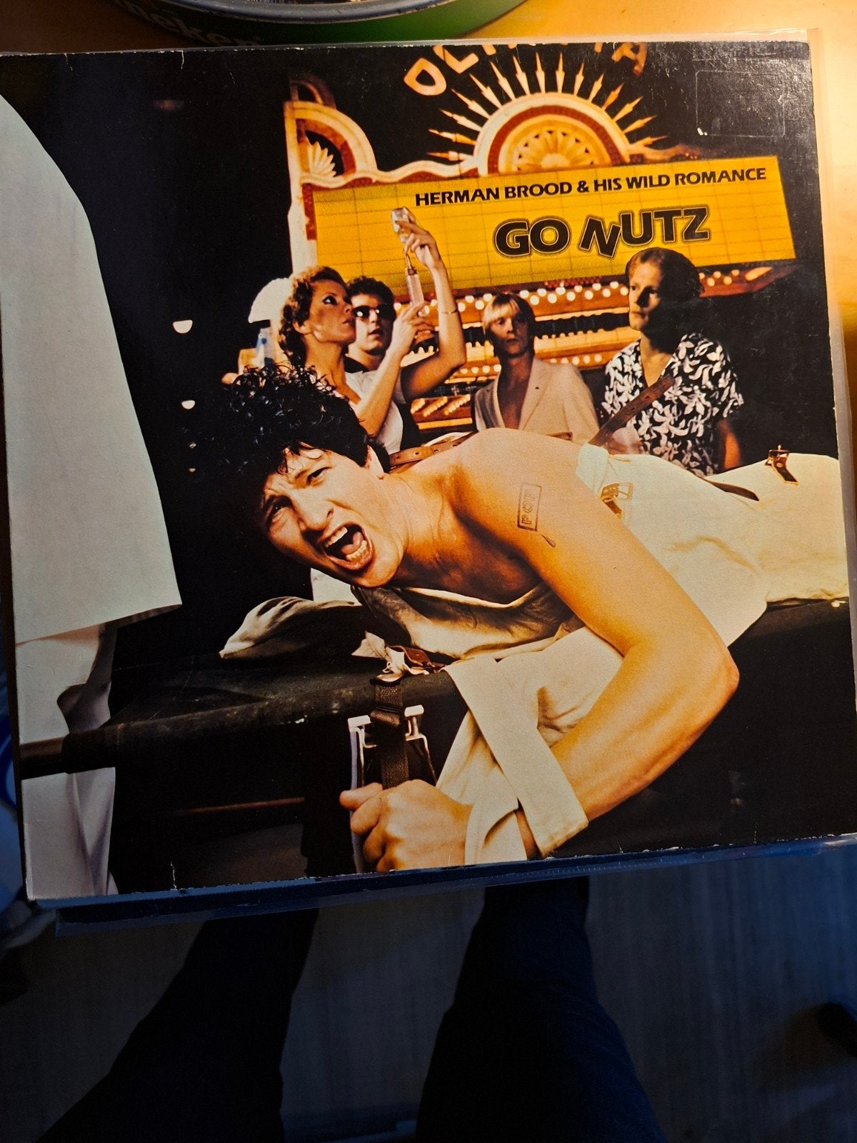 Herman Brood & His Wild Romance - Go Nutz LP, LP, Rock, Gebruikt, Ophalen of Verzenden
