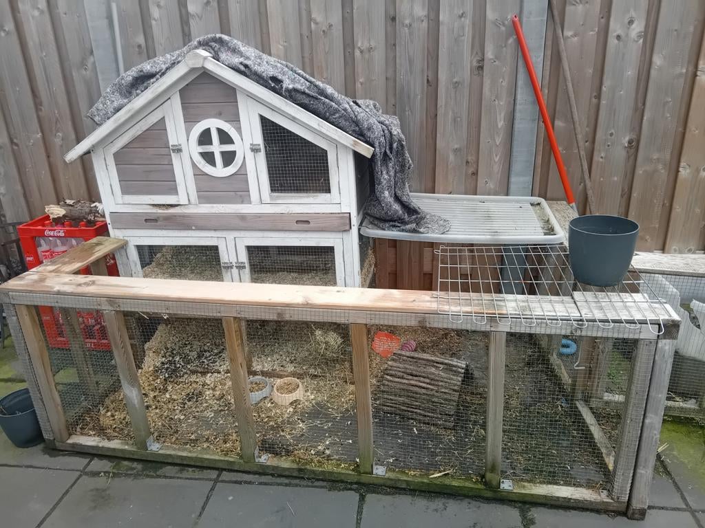 Gratis!! koppel konijnen met hok, Ophalen of Verzenden, 110 cm of meer, Hok, 90 cm of meer