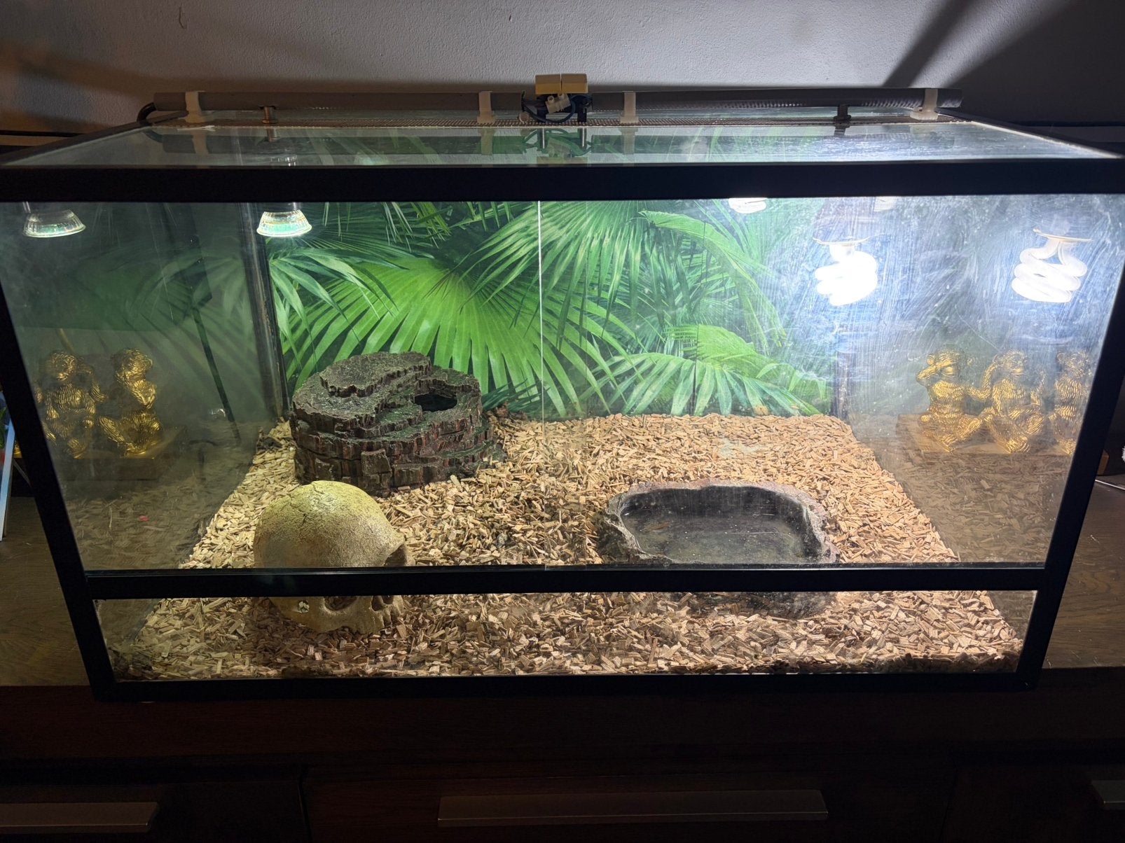 Terrarium, Dieren en Toebehoren, Ophalen, Zo goed als nieuw