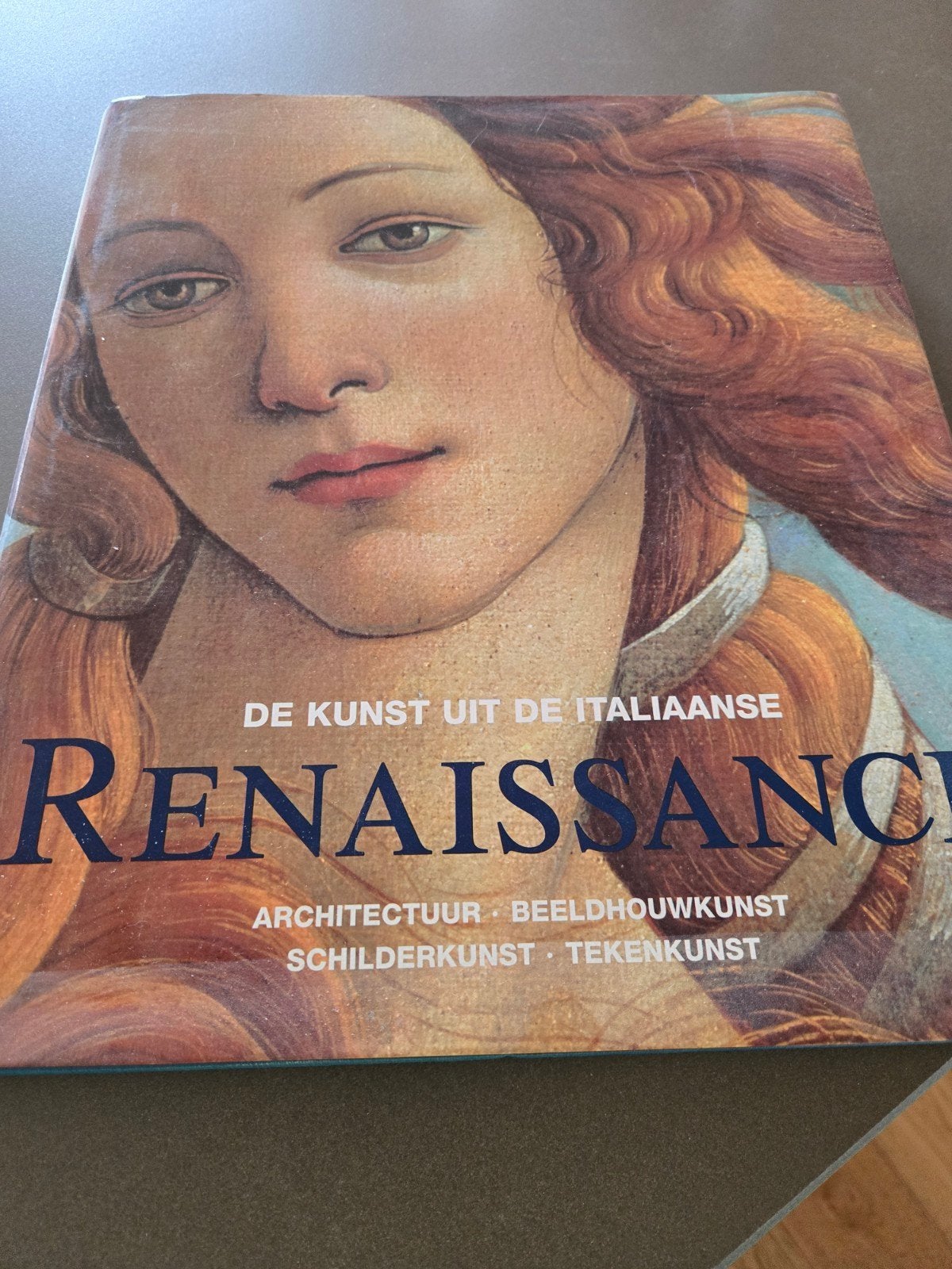 de kunst uit de Italiaanse Renaissance, Ophalen of Verzenden, Zo goed als nieuw, Architecten