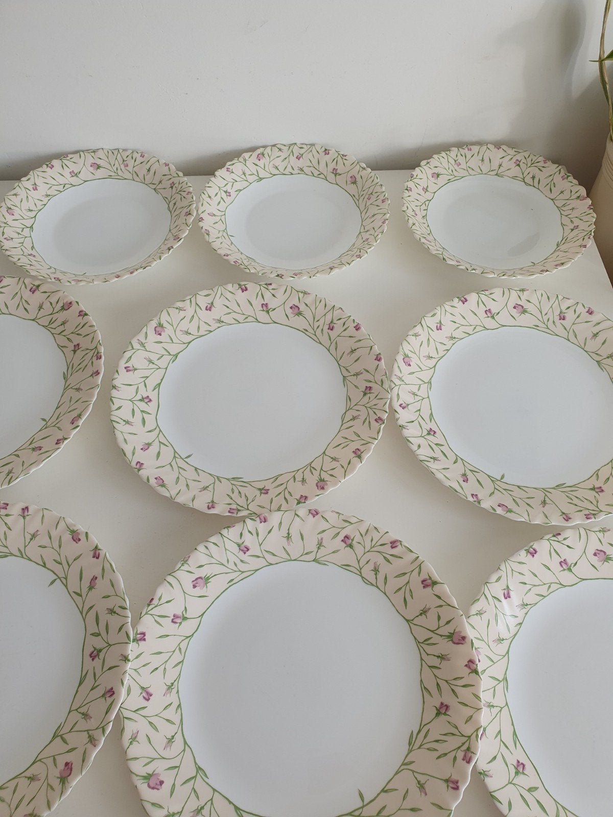 Luminarc 6 dinerborden ( 25 cm), 3 diepe borden (21 cm), Ophalen of Verzenden, Porselein, Overige stijlen, Bord(en)