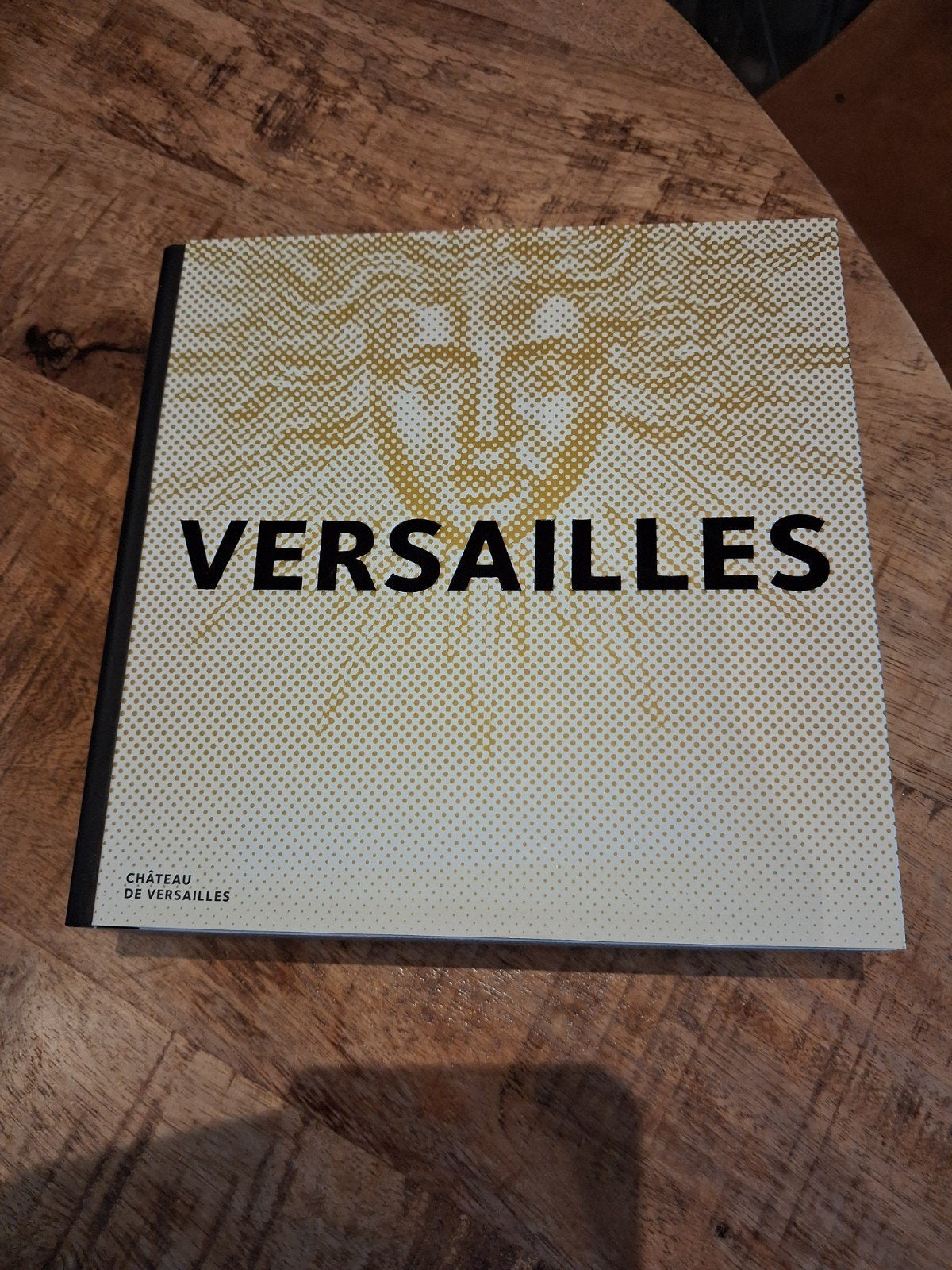 Versailles: Prachtig fotoboek over het kasteel en de tuinen, Boeken, Ophalen, Zo goed als nieuw, Overige onderwerpen