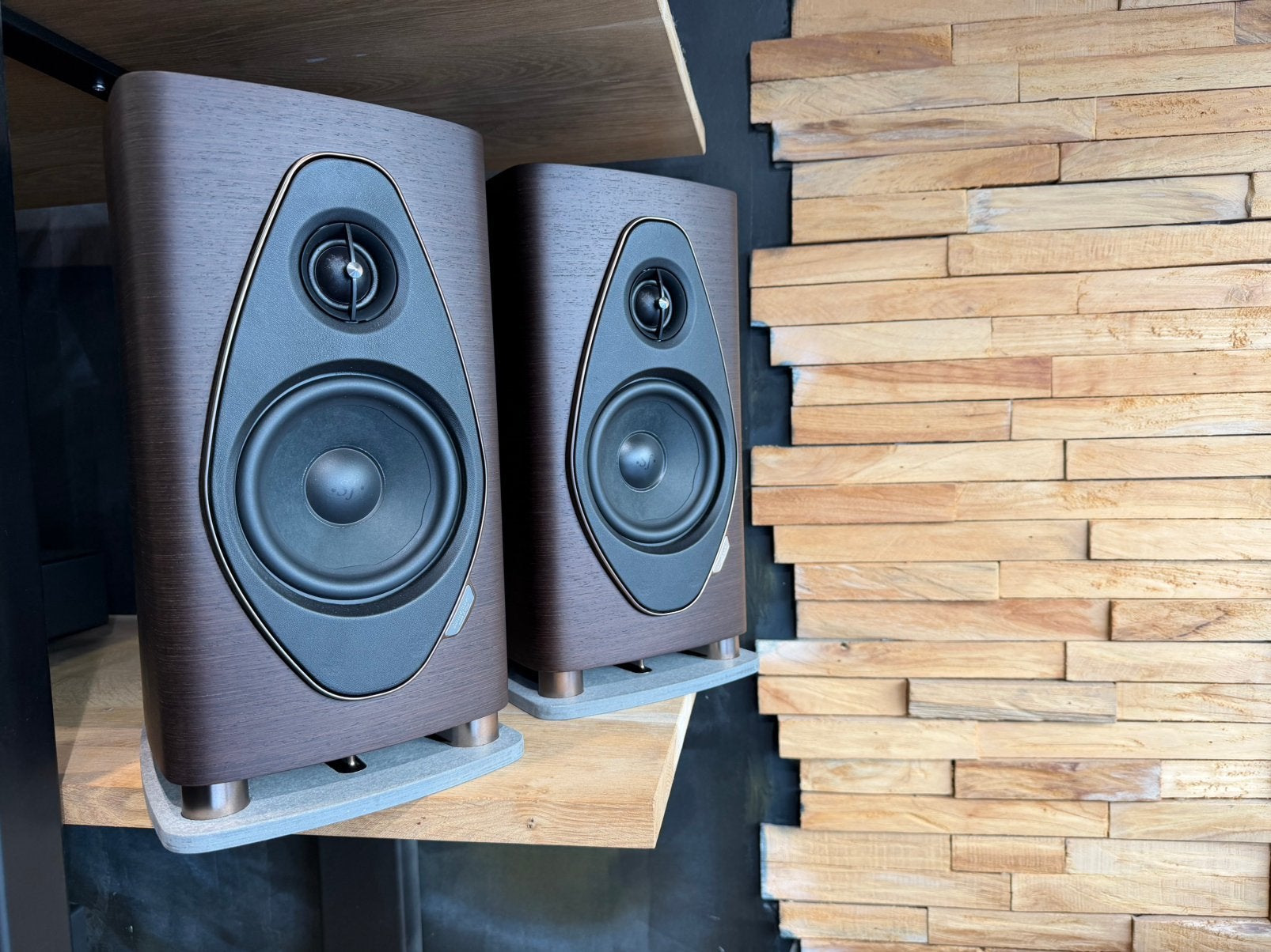 Sonus faber Sonetto I G2, Ophalen of Verzenden, Nieuw, Boekenplank luidspreker, Overige merken