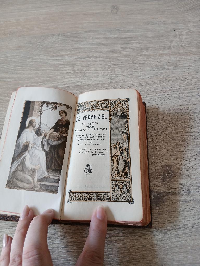 De vrome ziel - Kerkboek voor Roomsch-Katholieken, Ophalen of Verzenden, Gelezen, Christendom | Katholiek