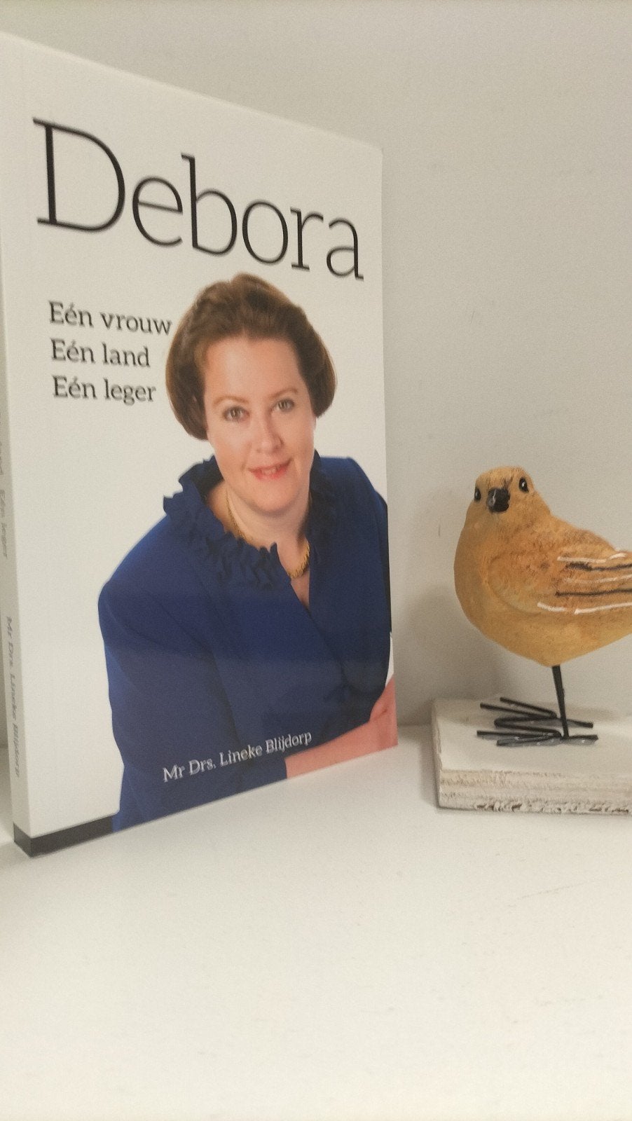 Blijdorp, Mr. Drs. Lineke; Debora, Ophalen of Verzenden, Gelezen, Christendom | Protestants