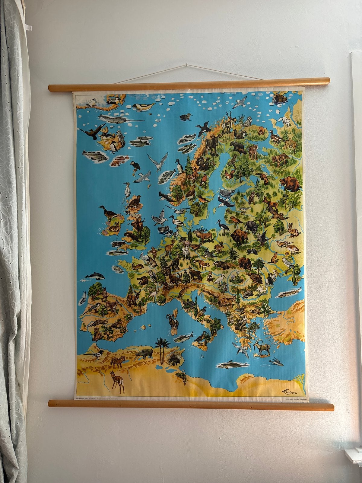 Groot Vintage Rolkaart Europa Dieren Wanddecoratie, Ophalen, Gebruikt, Met ophangsysteem, Meerkleurig