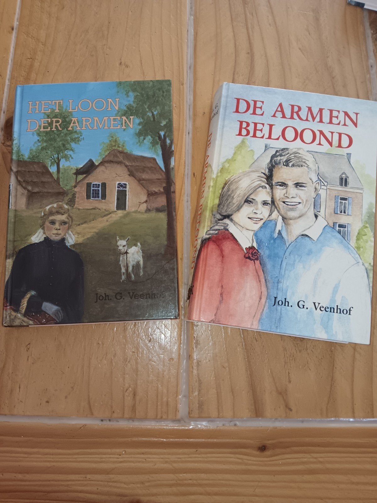 Het Loon der Armen & De Armen Beloond - Joh. G. Veenhof, Boeken, Ophalen of Verzenden, Gelezen, Joh. G. Veenhof, Nederland