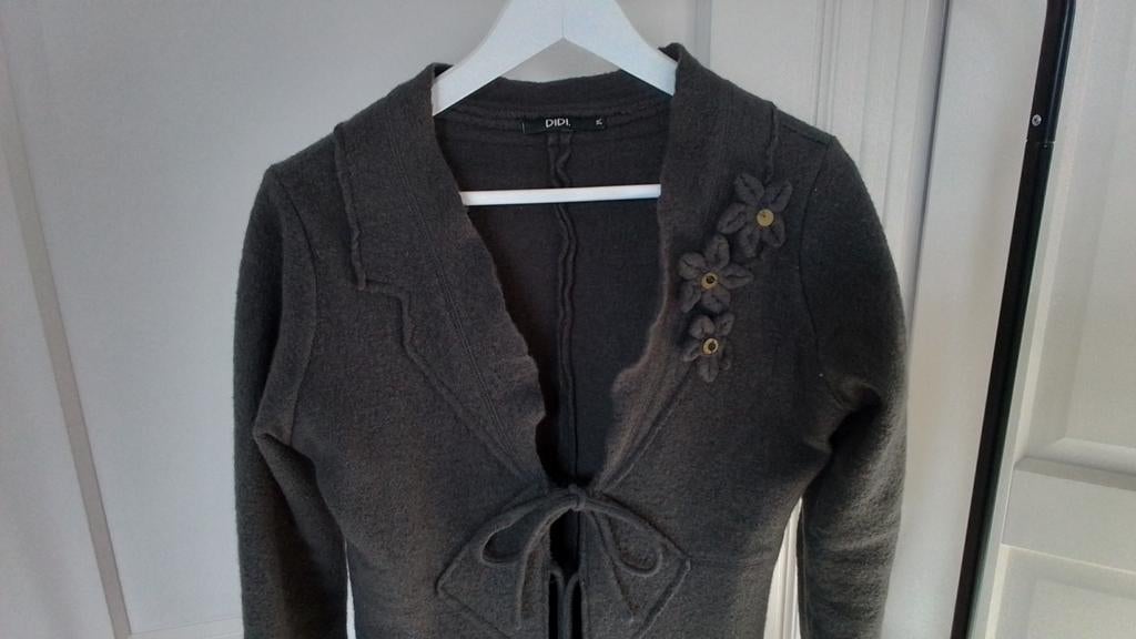 Mooi Lang grijs jas- vest DIDI, Kleding | Dames, Maat 38/40 (M), Didi, Ophalen of Verzenden, Grijs