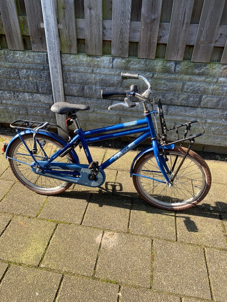 Nette jongensfiets 20 inch, Fietsen en Brommers, Fietsen | Jongens, Ophalen, Terugtraprem, Gebruikt, Alpina