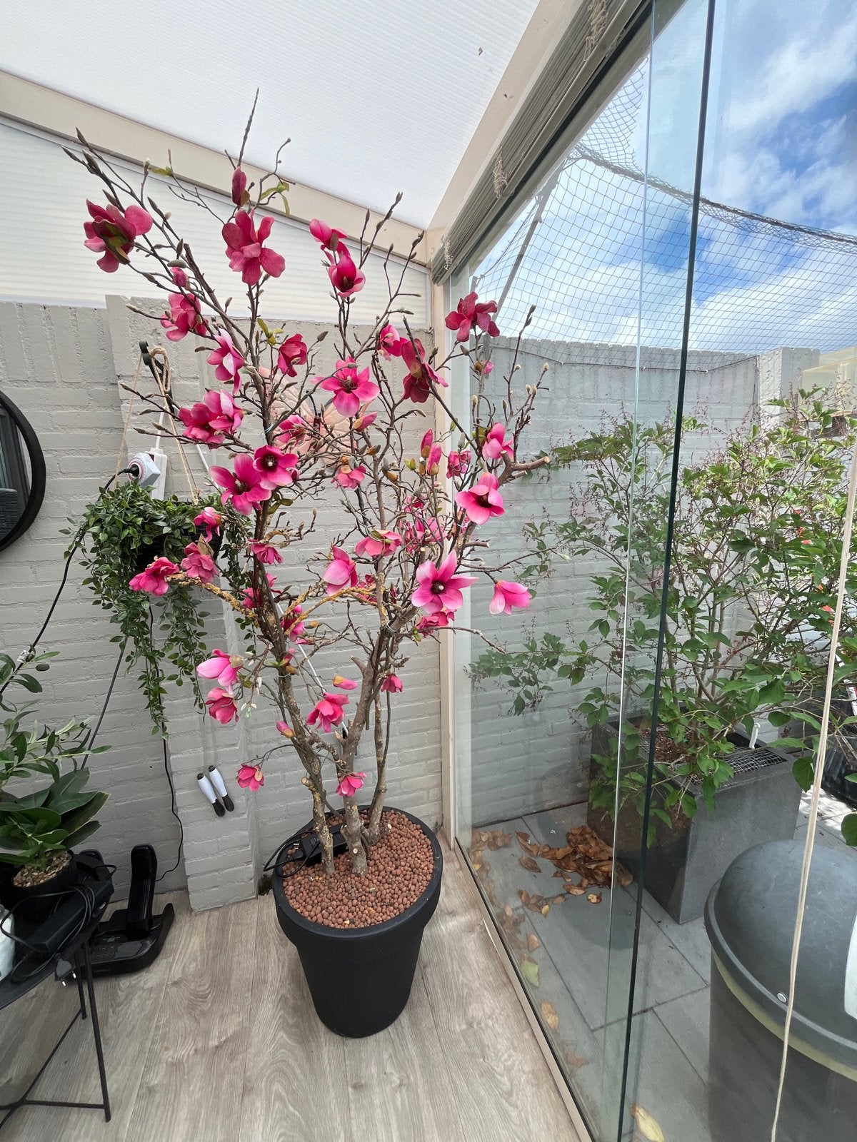 Kunst plant magnolia met echte takken en kunstbloemen, Huis en Inrichting, Woonaccessoires | Kunstplanten en Kunstbloemen, Ophalen