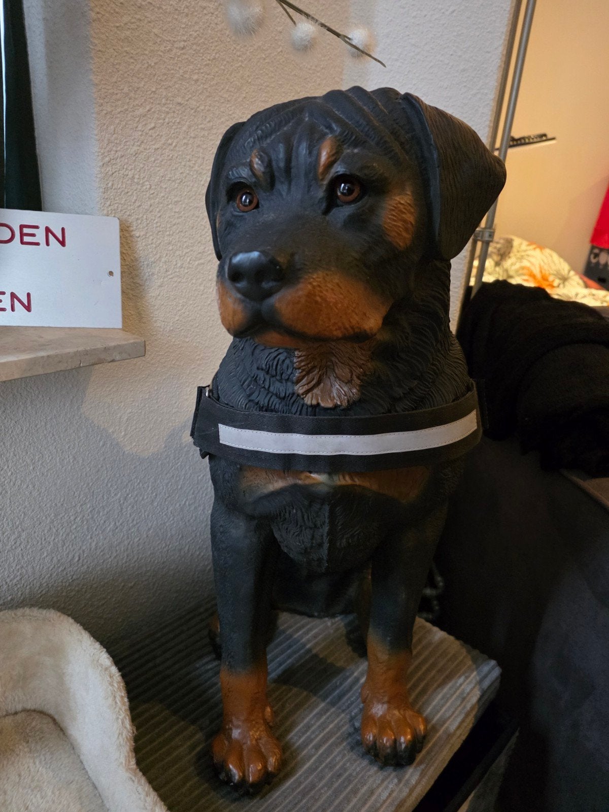 Beeld rotweiler 65cm, Ophalen of Verzenden