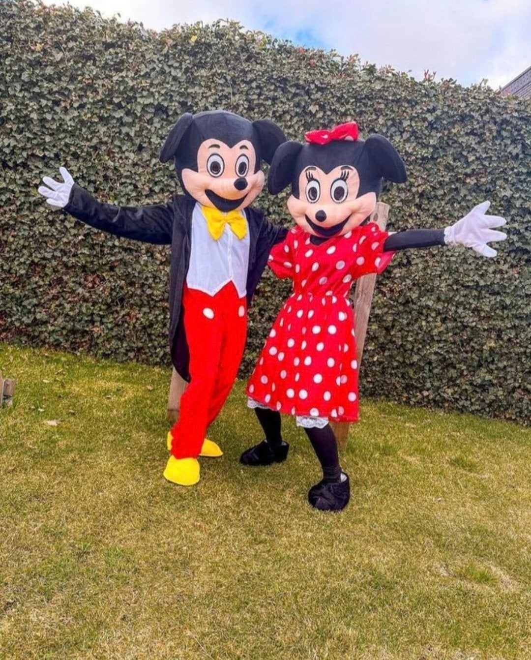 Te Huur Mickey- en Mouse pakken, Ophalen of Verzenden