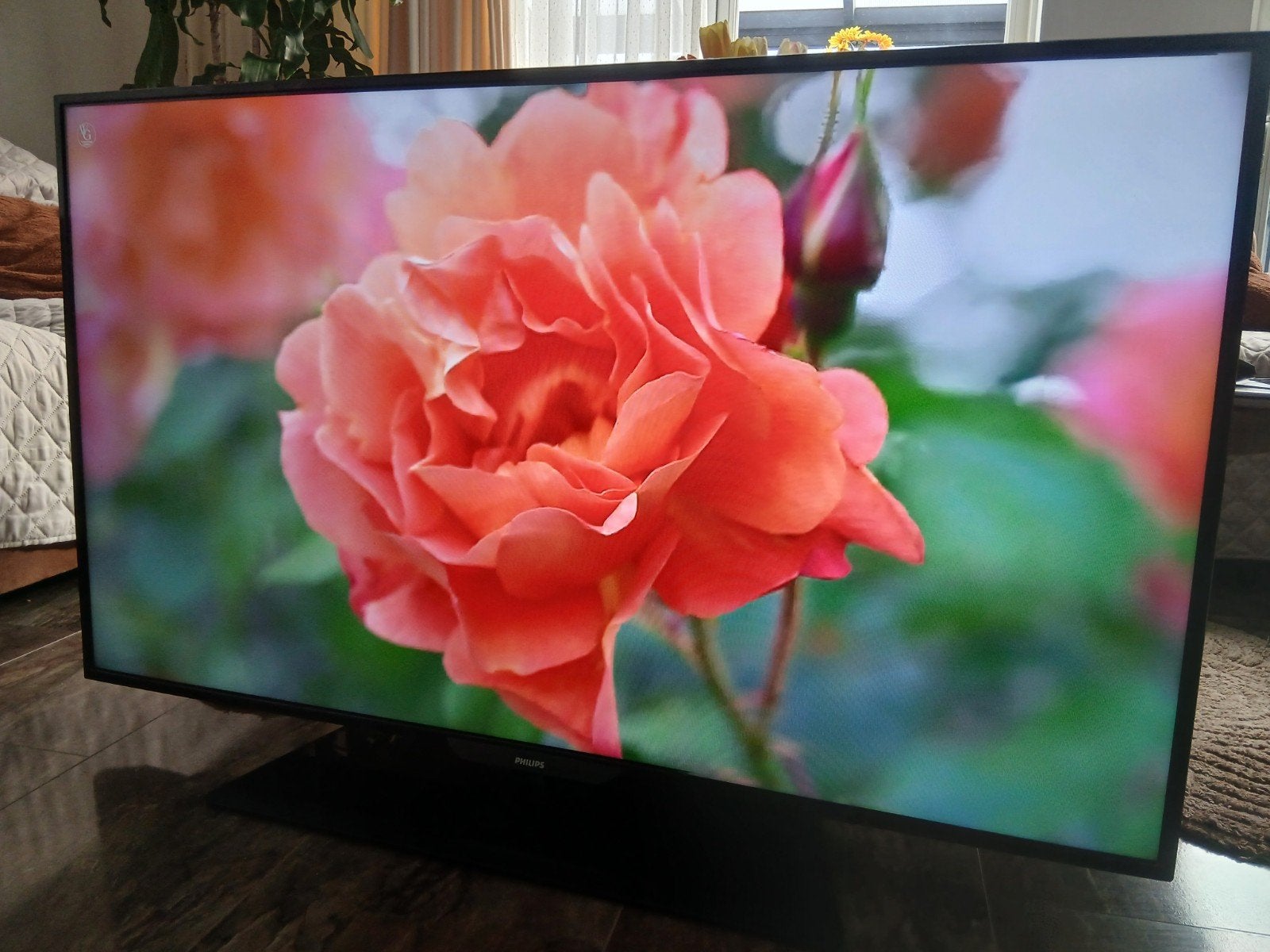 smart tv philips 50 inch. wifi. apps. youtube. mooie beeld., Ophalen, Philips, LED, 50 Hz