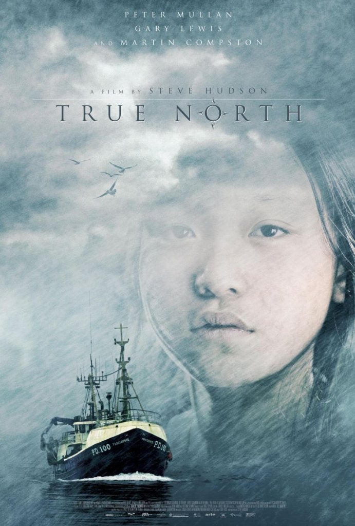 DVD - True North (2006), Vanaf 12 jaar, Ophalen of Verzenden, Gebruikt, Actiethriller