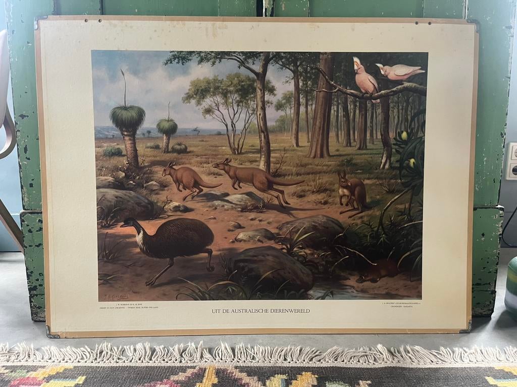 4 oude schoolplaten in 1 koop., Antiek en Kunst, Ophalen
