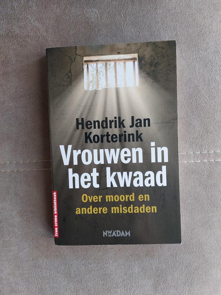 Vrouwen in het kwaad door Hendrik Jan Korterink, Boeken, Overige, Ophalen of Verzenden, Zo goed als nieuw, Hendrik Jan Korterink