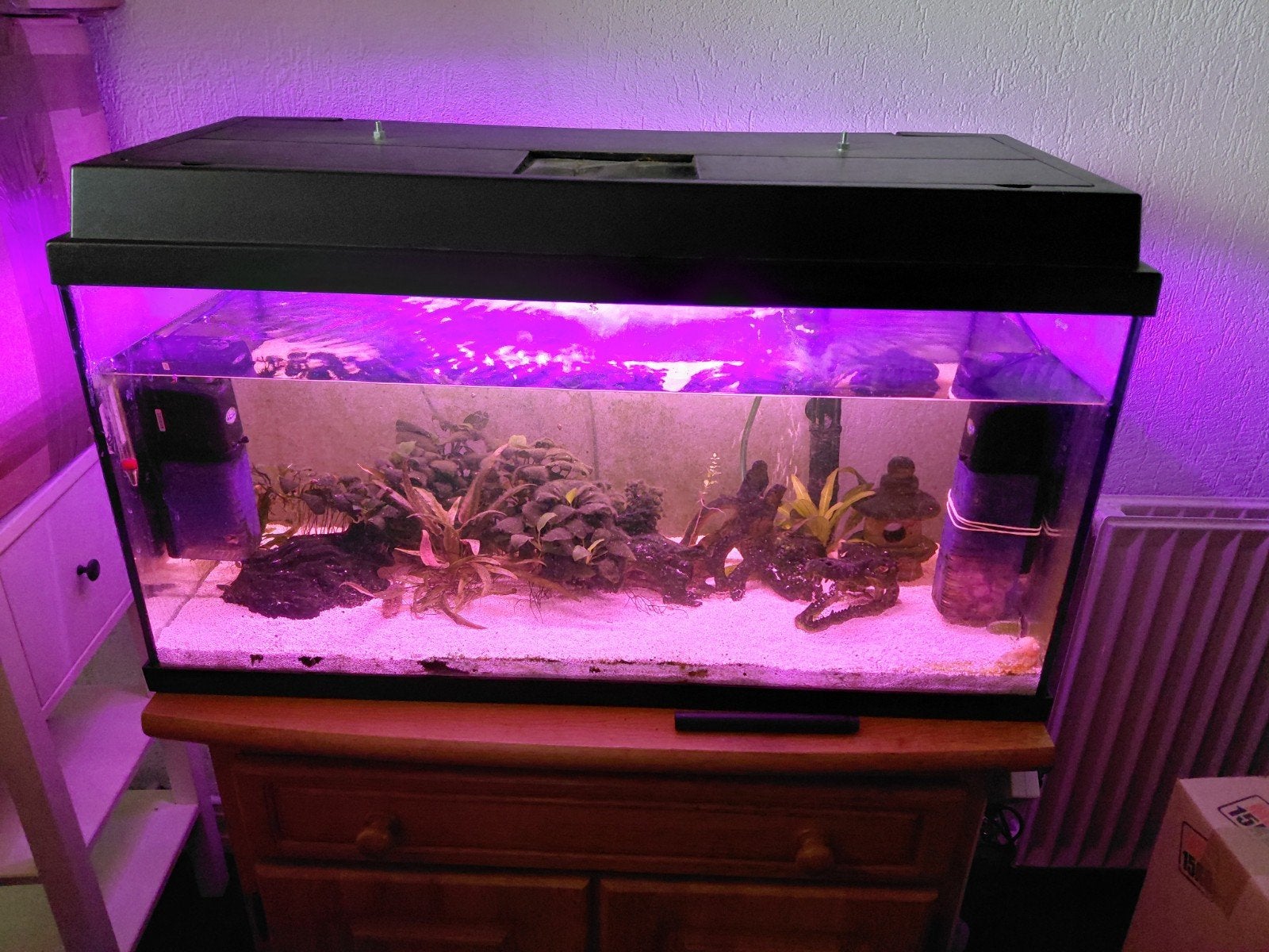 Wegens einde hobby, te koop Aquarium, Dieren en Toebehoren, Ophalen, Leeg aquarium