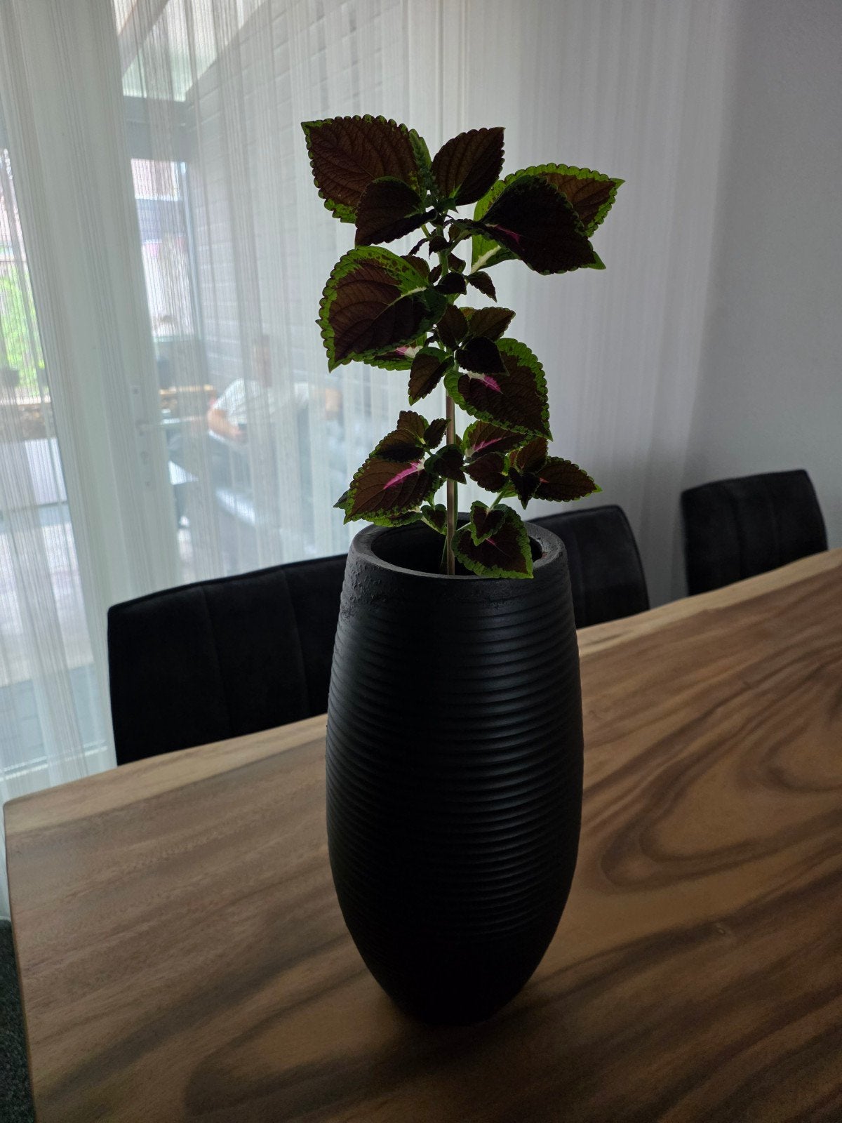 Plant, Ophalen