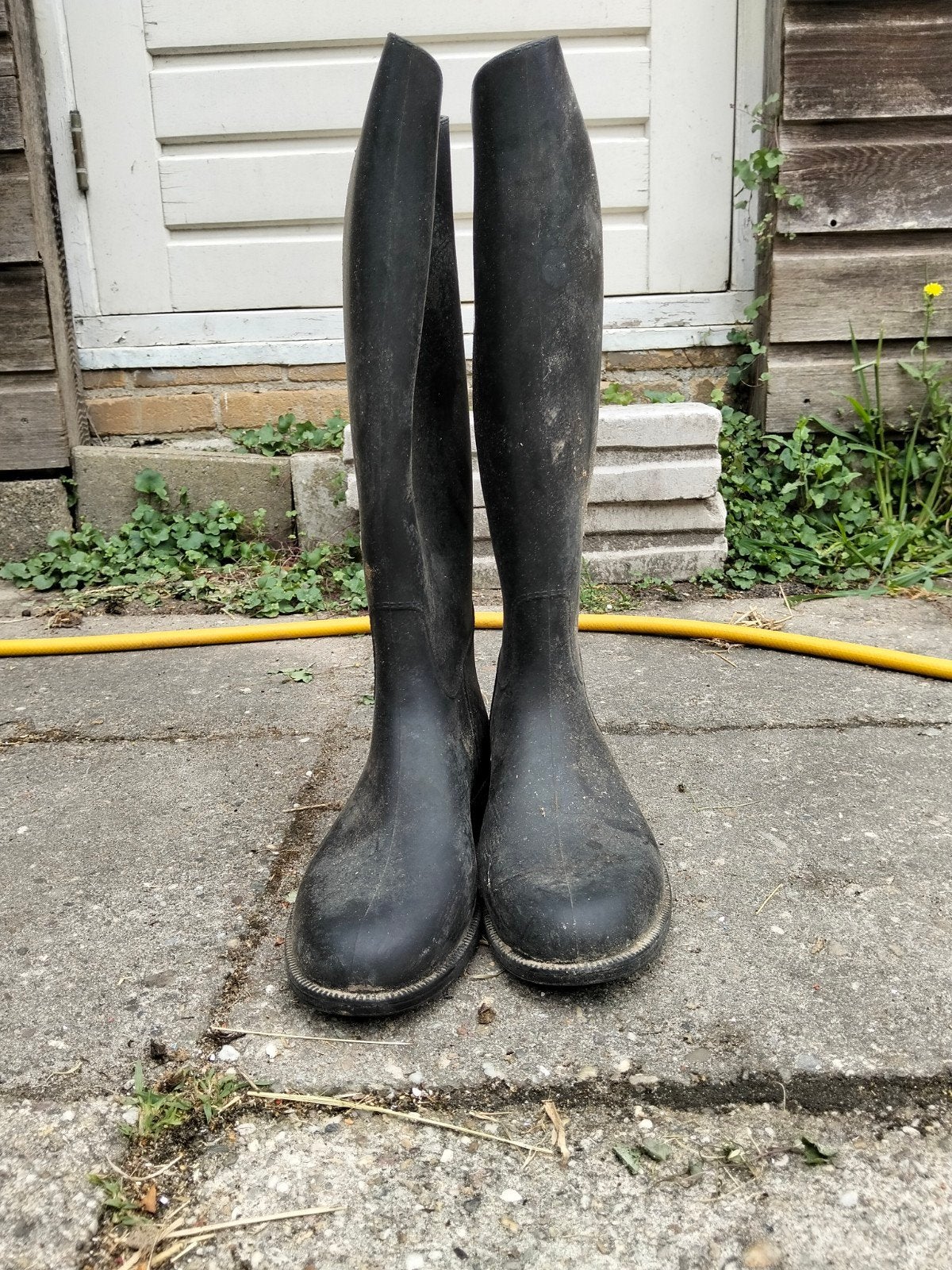 paarden spullen te koop, Ophalen of Verzenden, Gebruikt, Overige disciplines