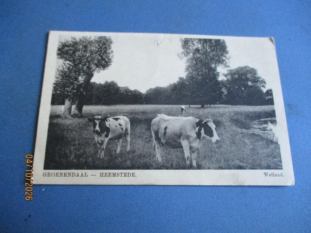Groenendaal-HEEMSTEDE (1913), Ophalen of Verzenden, Voor 1920, Gelopen, Noord-Holland