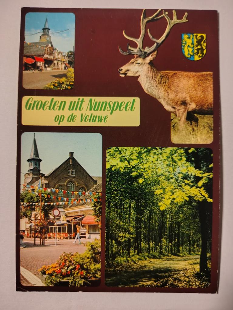 Nunspeet, Ophalen of Verzenden, 1940 tot 1960, Gelderland