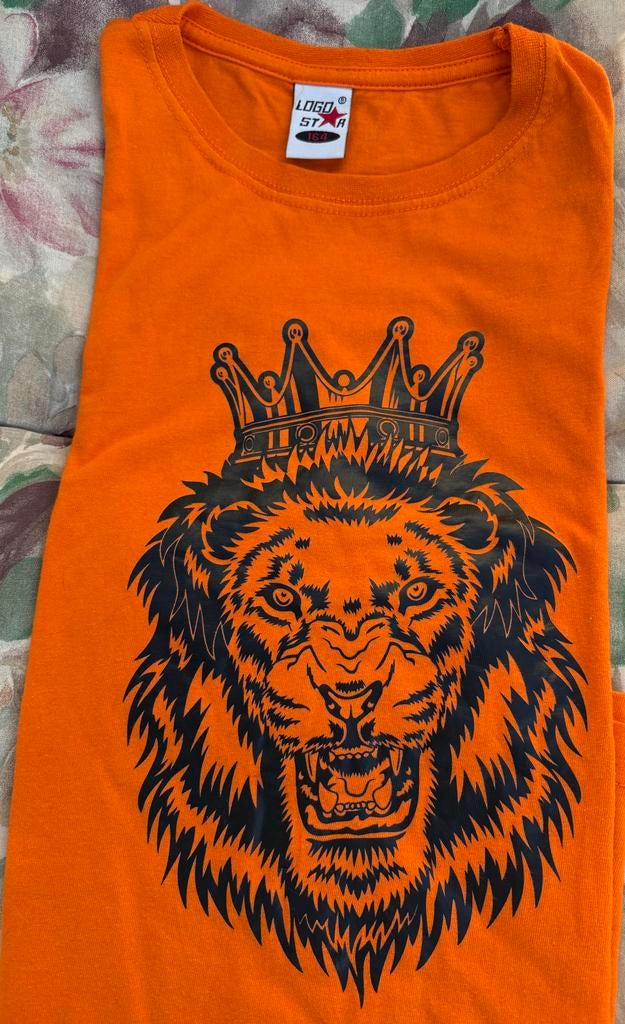 GRATIS OPHALEN! Koningsdag oranje shirt leeuw, maat 164!, Ophalen, Zo goed als nieuw, Jongen of Meisje, Shirt of Longsleeve