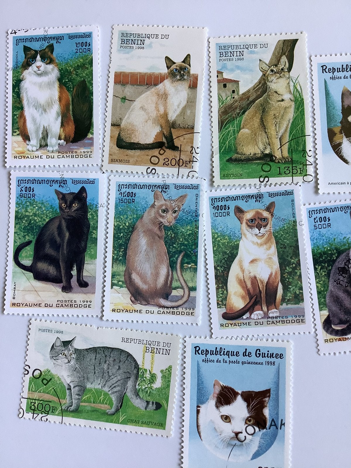 Nieuwe Katten Postzegels, Ophalen of Verzenden, Dier of Natuur