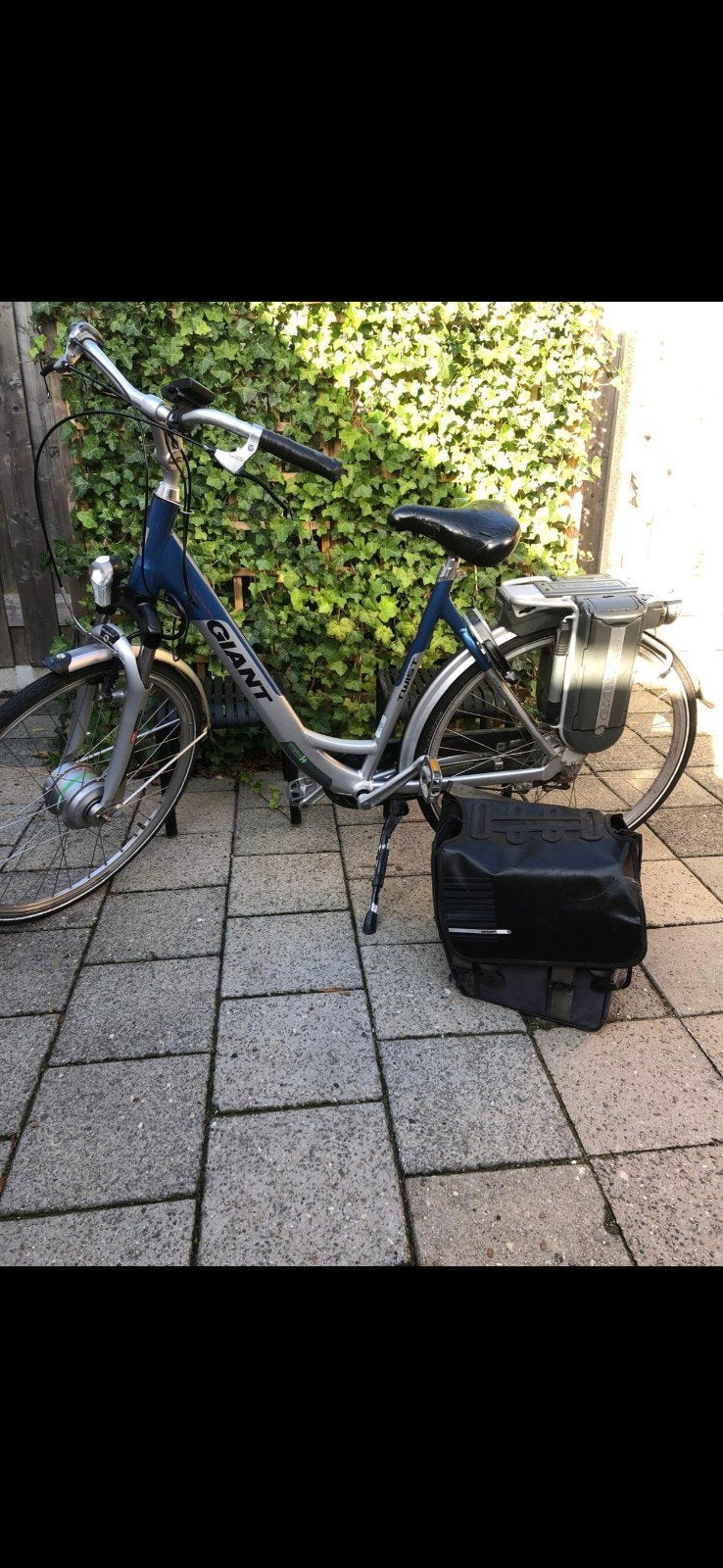 Giant elektrische fiets met fietstassen, Ophalen, Gebruikt, Giant, 51 tot 55 cm