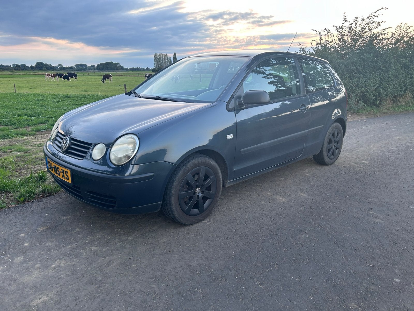 Volkswagen Polo 1.4 55KW 2004 Blauw, Auto's, Voorwielaandrijving, 74 pk, 4 cilinders, Blauw