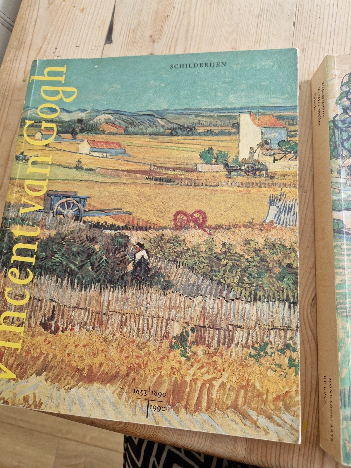 2 boeken: Schilderijen en tekeningen van Vincent van Gogh, Ophalen of Verzenden, Gelezen, Schilder- en Tekenkunst, Vincent van Gogh