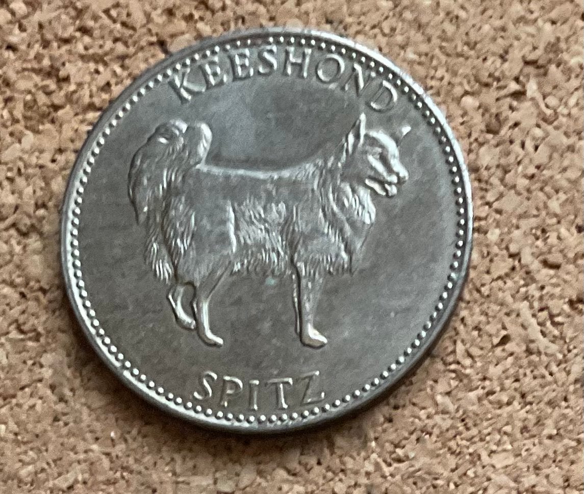 Penning - Nederland Frolic - Keeshond Spitz, Postzegels en Munten, Ophalen of Verzenden, Overige materialen, Nederland