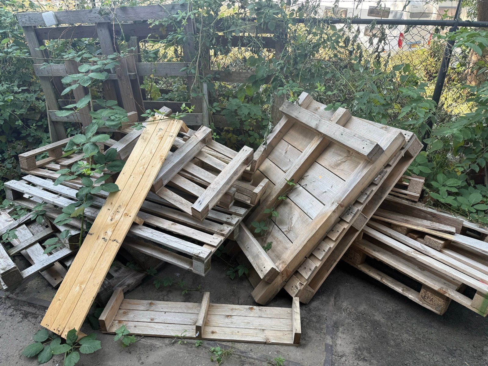 Gratis af te halen: Brandhout (pallets en diverse houtresten, 6 m³ of meer, Ophalen, Overige houtsoorten, Blokken