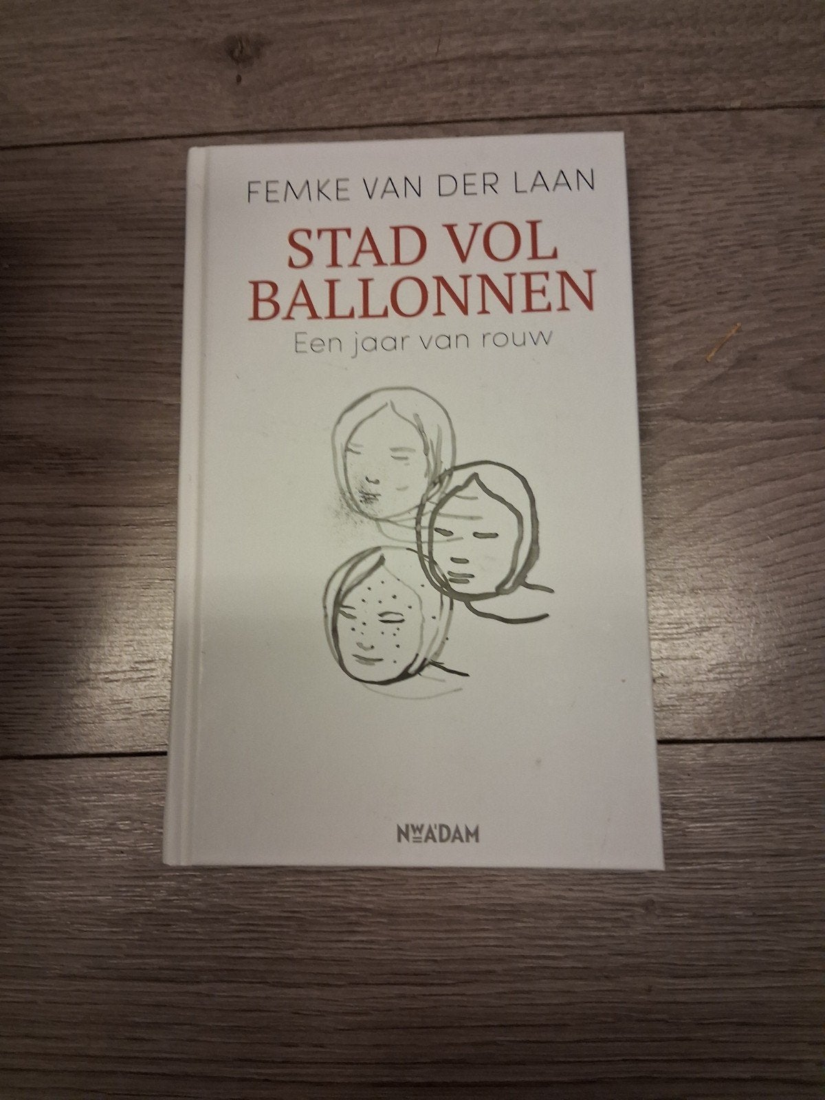 Stad vol ballonnen - Femke van der Laan (Een jaar van rouw), Ophalen of Verzenden, Gelezen, Femke van der Laan, Nederland