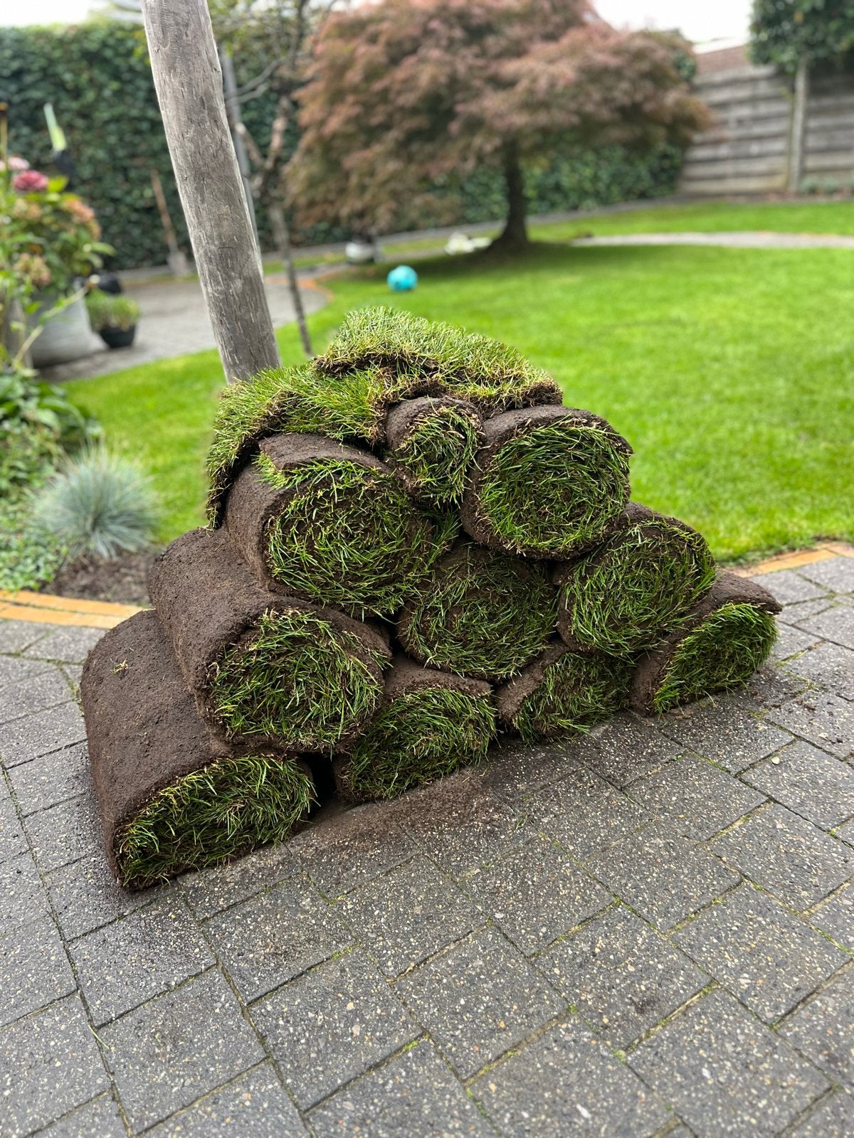 Graszoden 9m2 en Pokon tuinaarde 6x40L, Tuin en Terras, Ophalen, Nieuw, Overige typen
