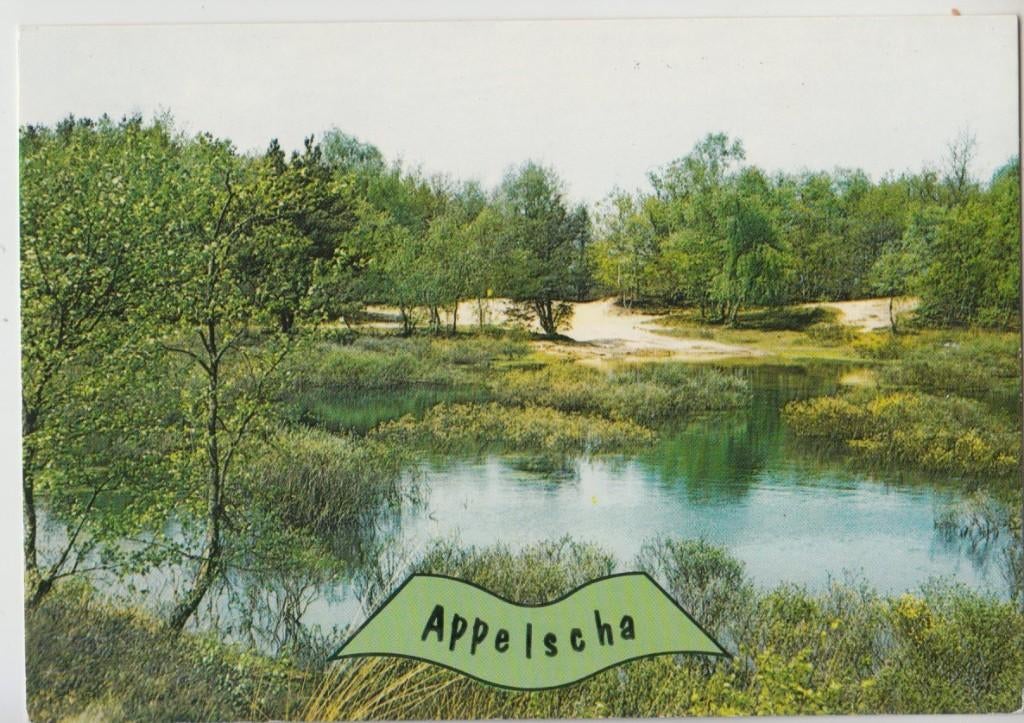 Appelscha De Roggeberg Bonds Camping 1978 Ongelopen, Verzenden, 1980 tot heden, Ongelopen, Friesland