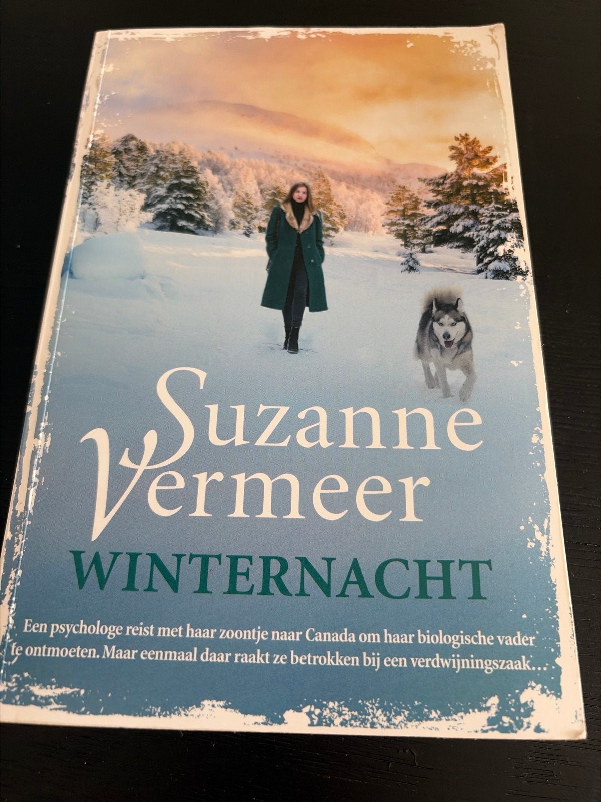 Suzanne Vermeer - Winternacht (Boek), Ophalen of Verzenden, Zo goed als nieuw, Nederland