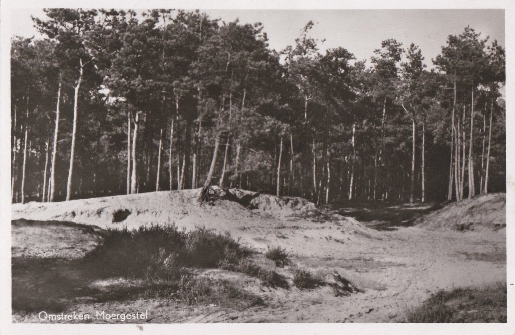 omstreken moergestel 1960, Verzamelen, Ophalen of Verzenden, Voor 1920, Noord-Brabant