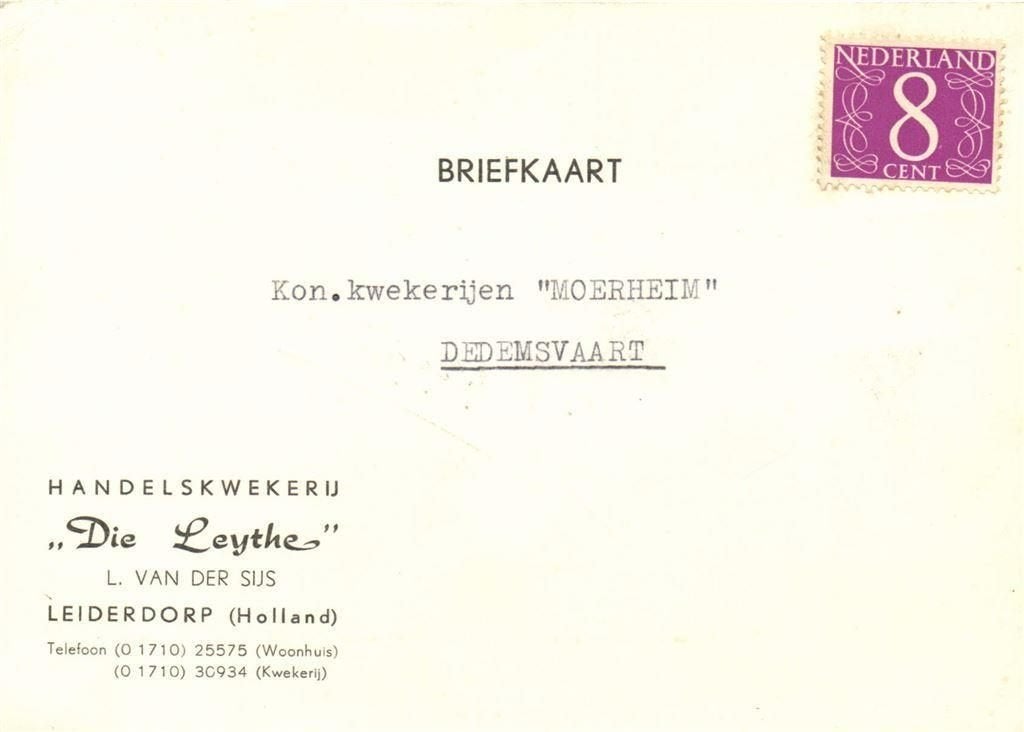 Handelskwekerij Die Leythe, Leiderdorp - 10.1963 - briefkaar, Ophalen of Verzenden, Briefkaart