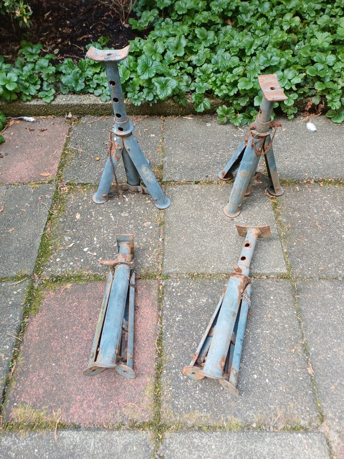Assteun, Ophalen of Verzenden, Gebruikt, IJzer