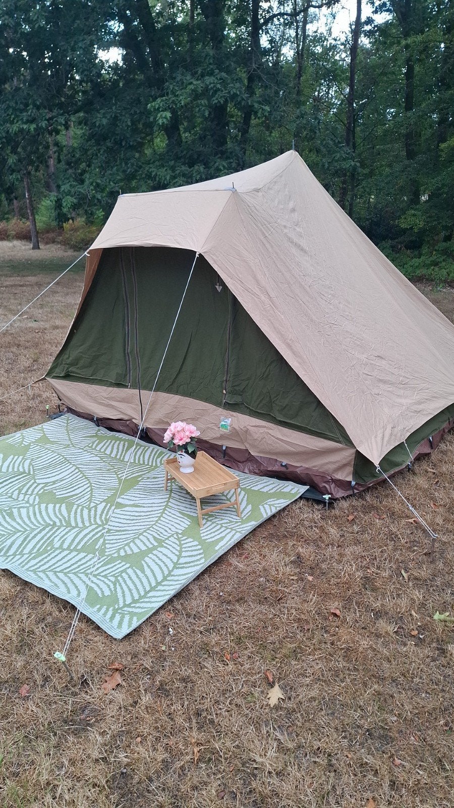 Vintage Ancona Vroom en Dreesmann Pyramidetent - 2/3 persoon, Ophalen, Zo goed als nieuw, Tot en met 3
