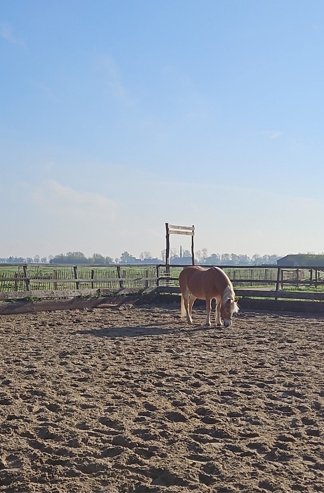 Stal vrij op kleinschalige doe-het-zelf stal, Dieren en Toebehoren, Stalling