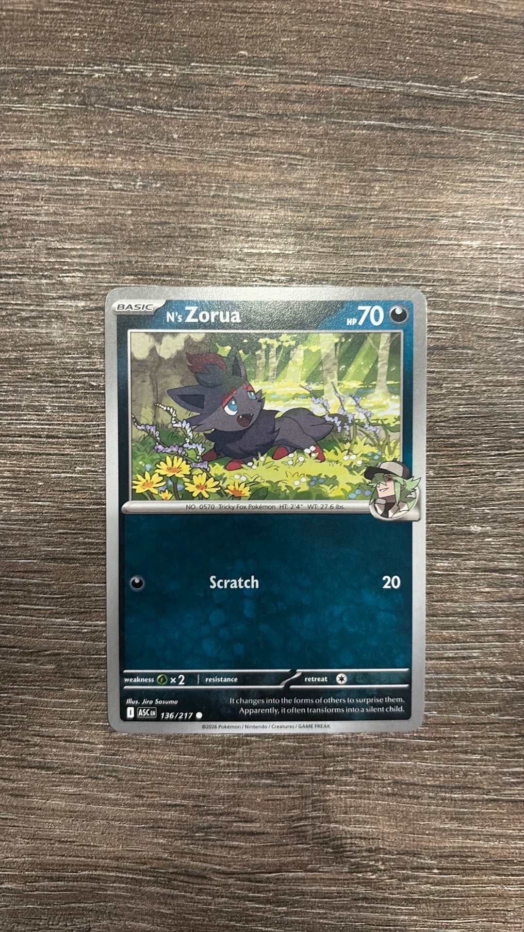 ASC N’s Zorua 136/217, Ophalen of Verzenden, Zo goed als nieuw