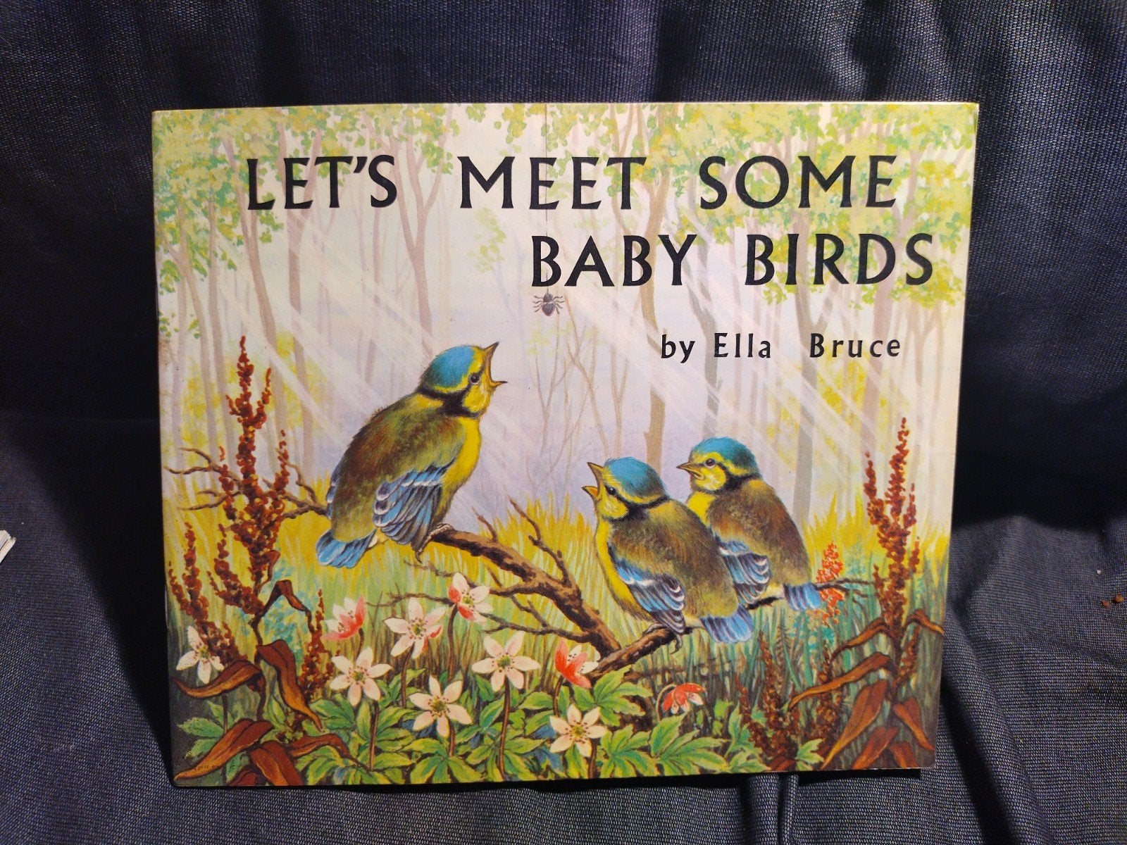 Let's Meet Some Baby Birds - Ella Bruce (1969), Ophalen of Verzenden, Gelezen