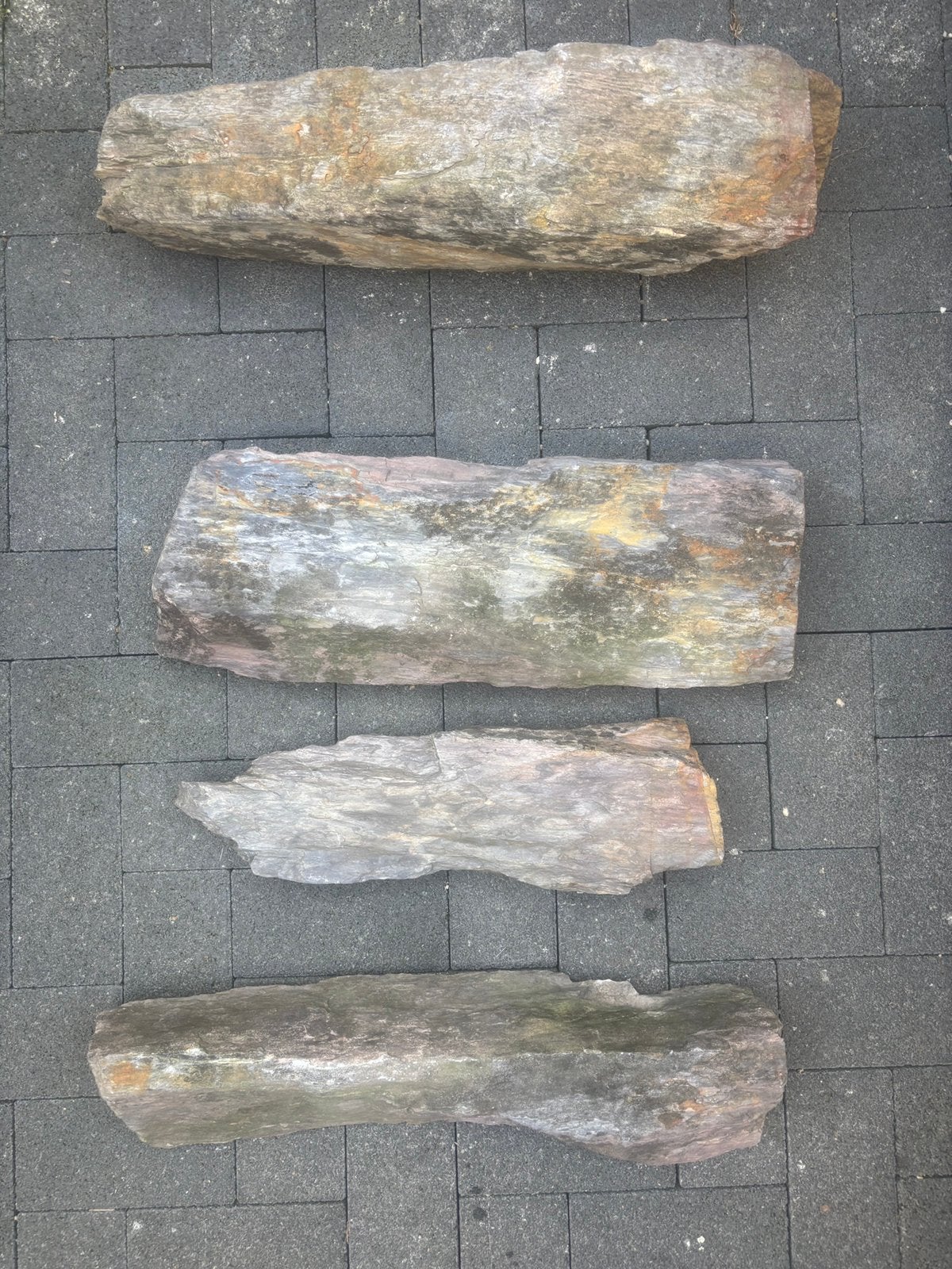 Versteend hout 7stukken ruw 102kiloveel kleuren van 1 stam, Ophalen, Fossiel