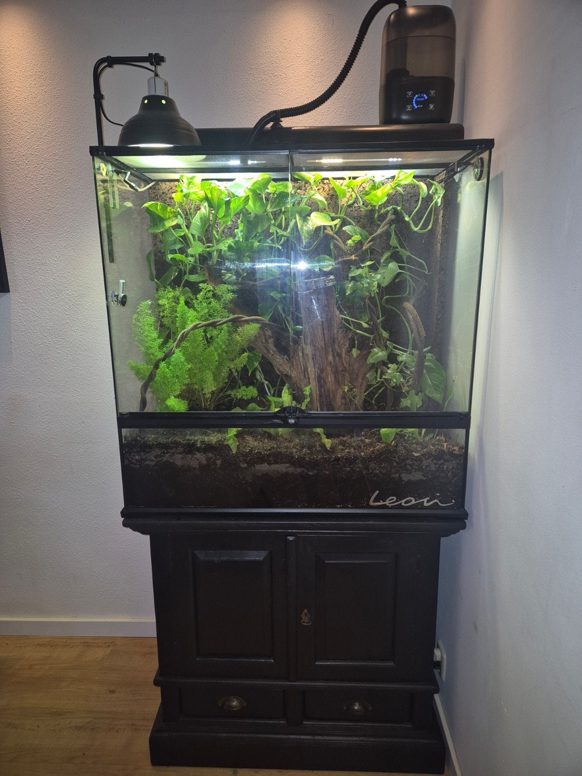 Terrarium + toebehoren, Ophalen, Gebruikt, Terrarium of Paludarium