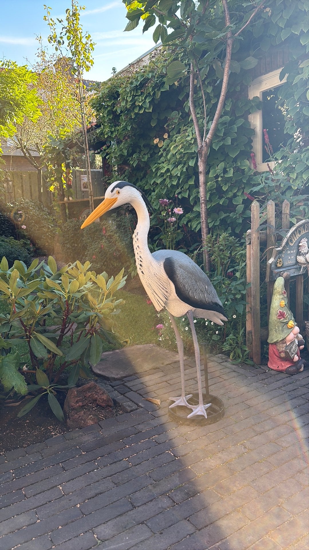 Reiger plastic, Overige soorten